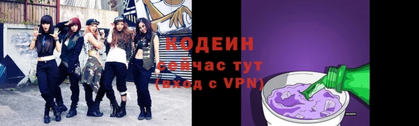 дурь Лабытнанги