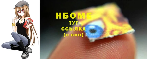 дурь Лабытнанги