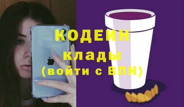 дурь Лабытнанги