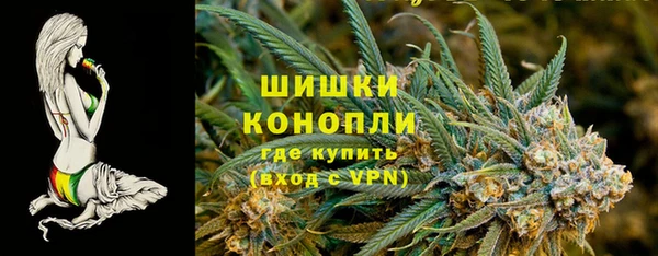 дурь Лабытнанги