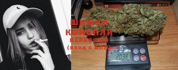дурь Лабытнанги