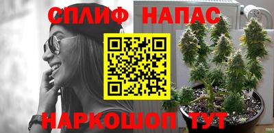 мяу мяу мука Славянск-на-Кубани