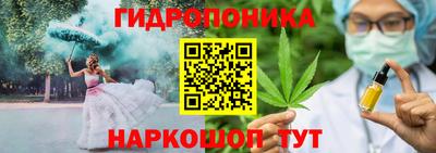 apvp Славгород