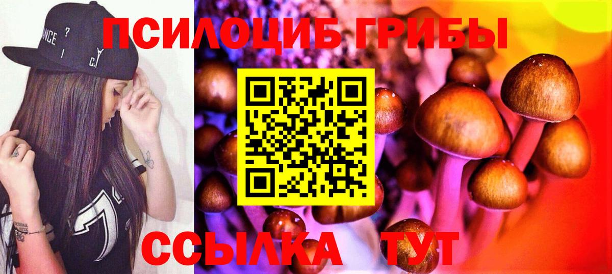 Галлюциногенные грибы Psilocybine cubensis  Вход с VPN  Ступино  Псилоцибиновые грибы Cubensis 