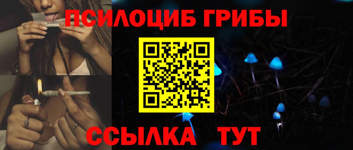 Псилоцибиновые грибы GOLDEN TEACHER Ступино