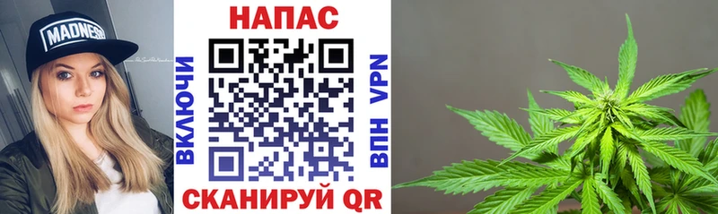наркотики  Ступино  Бошки марихуана индика 